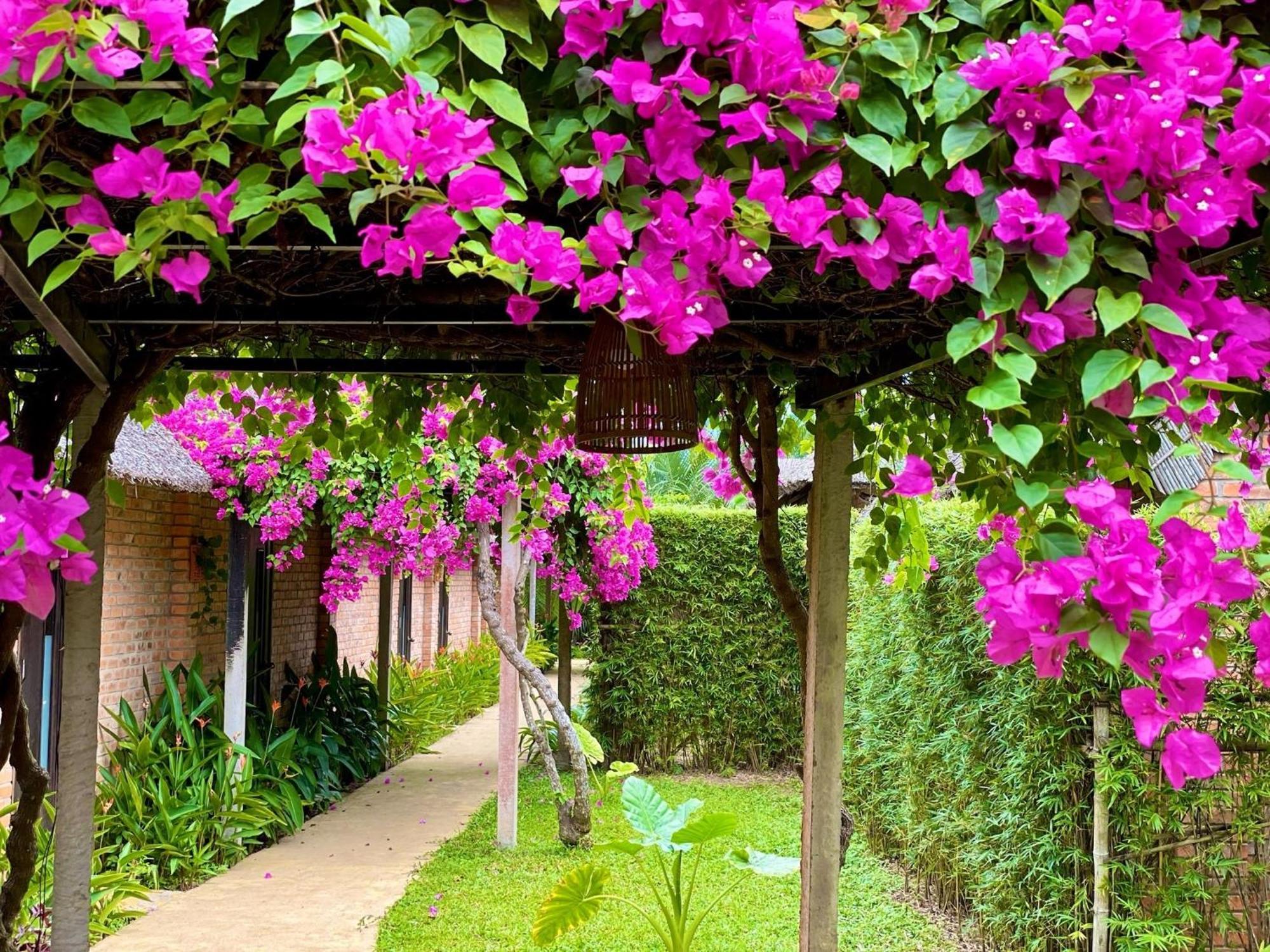 Enso Retreat Hoi An - Rediscovery & Serenity מראה חיצוני תמונה