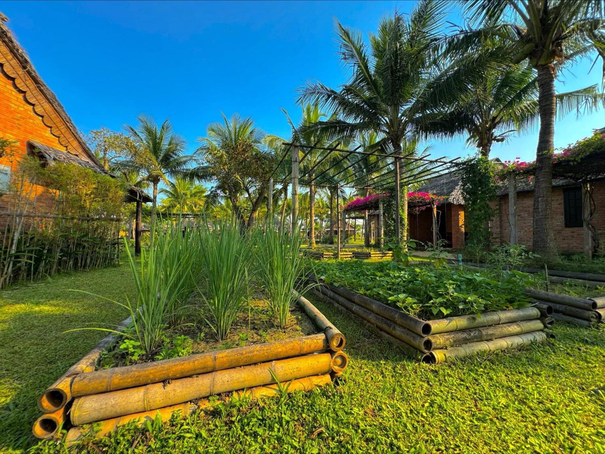 Enso Retreat Hoi An - Rediscovery & Serenity מראה חיצוני תמונה